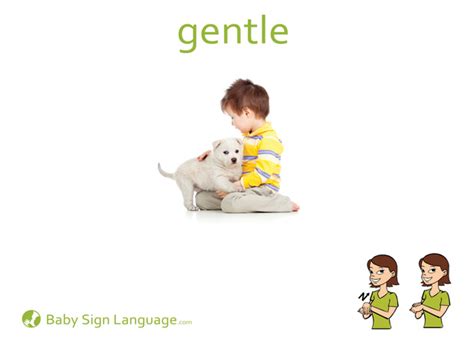 gentle